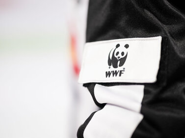 Verlosung: Mit dem WWF ins Stadion